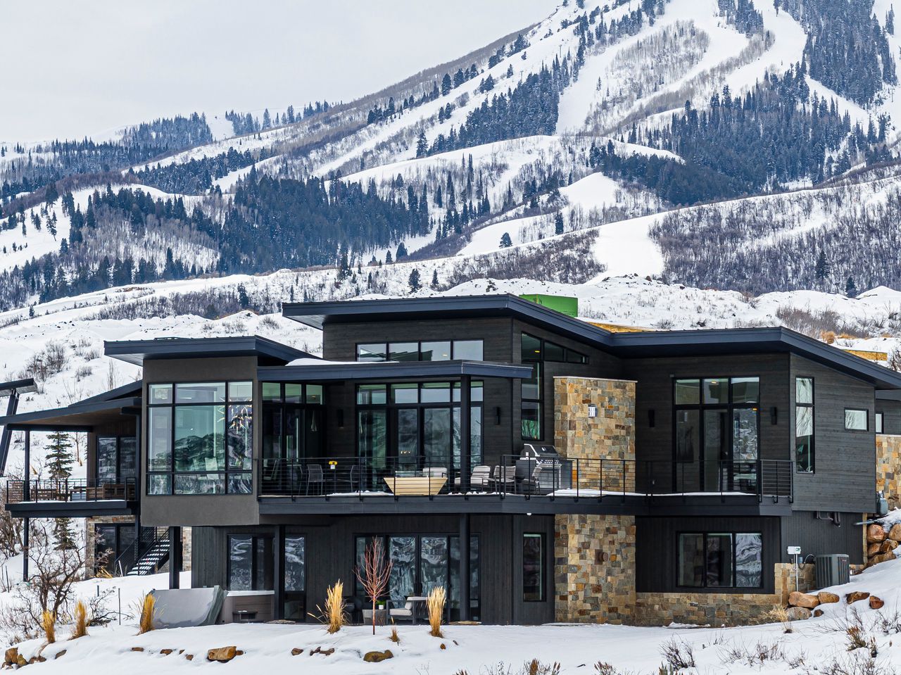 mayflower_moose_tracks