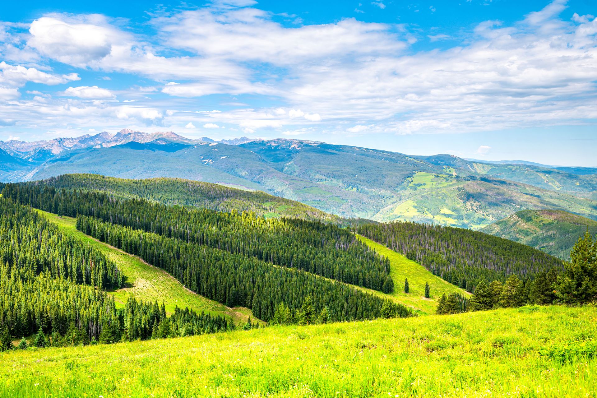vail_header